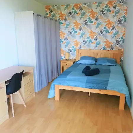 Spacious Bellevue Apartmán